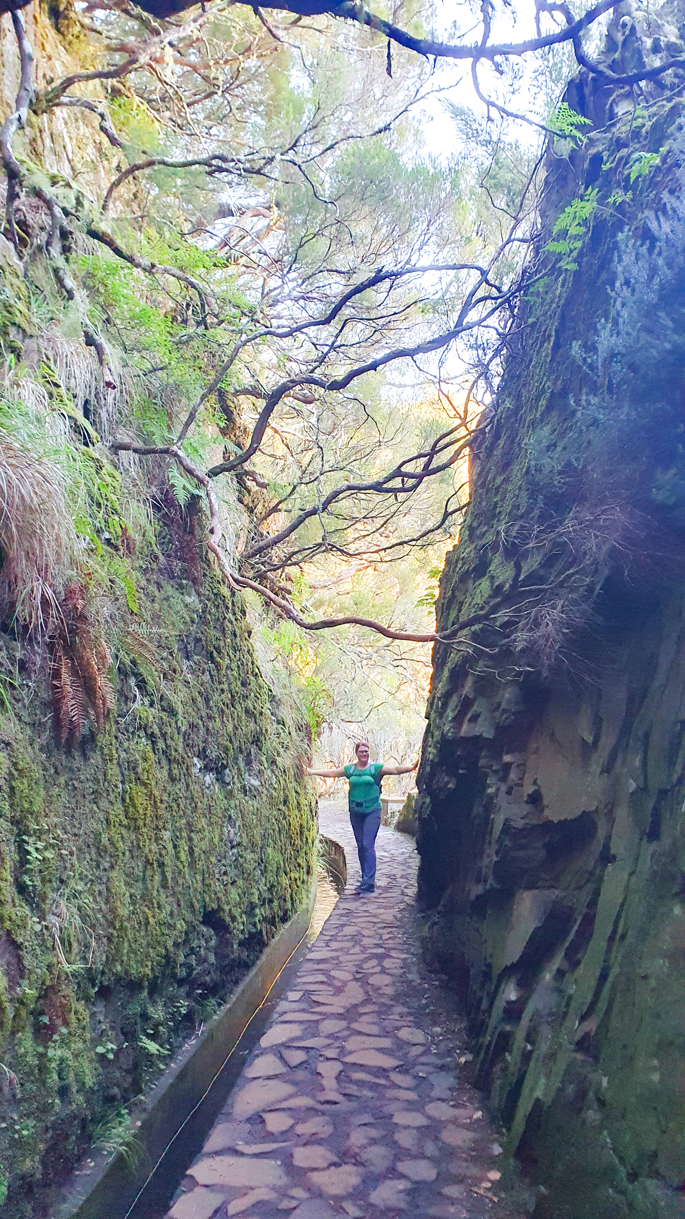 Wandeling Madeira